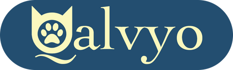 Qalvyo